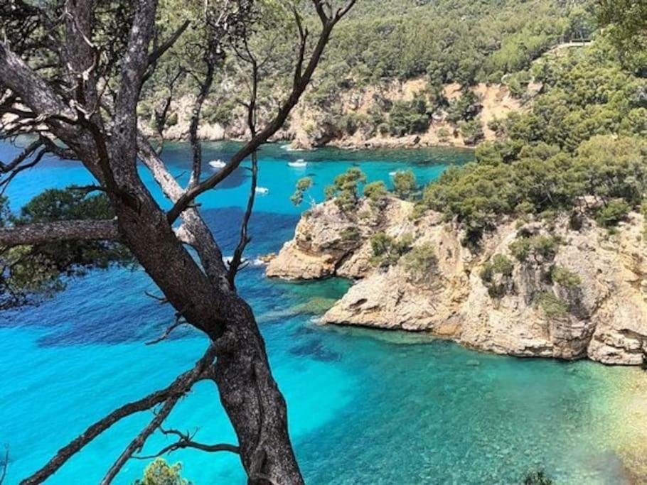 Brad'S House. Daire Saint-Cyr-sur-Mer Dış mekan fotoğraf