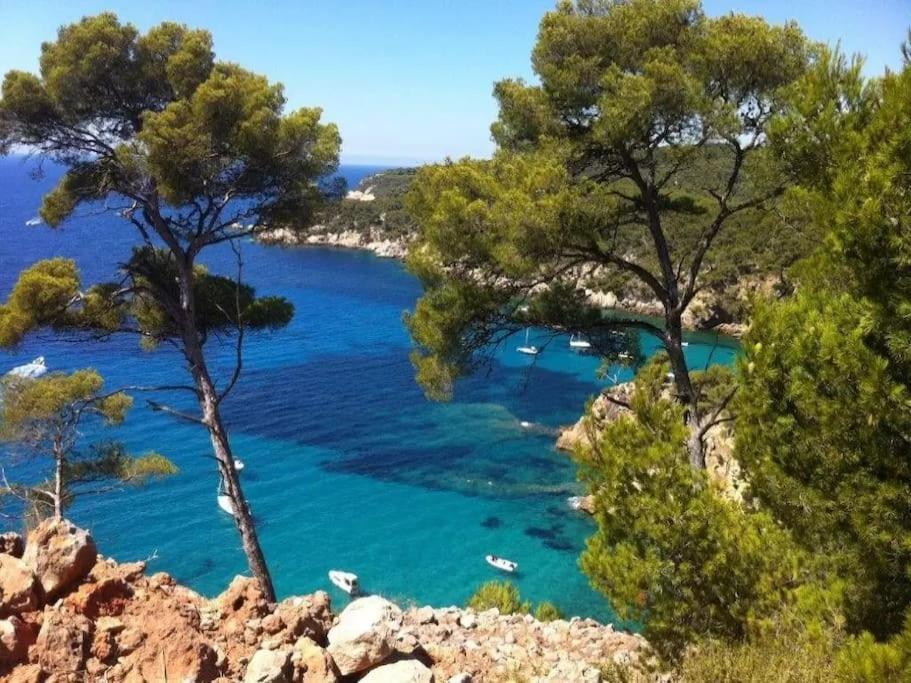 Brad'S House. Daire Saint-Cyr-sur-Mer Dış mekan fotoğraf